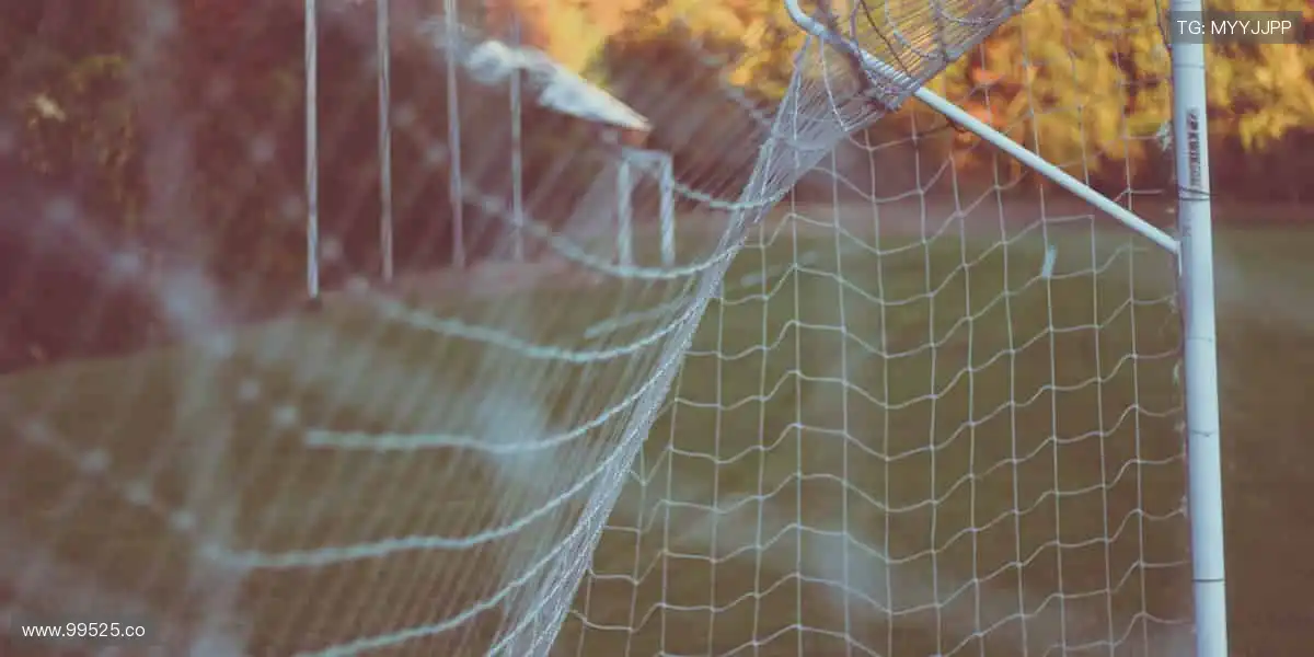 💻互动弹幕，让热爱不再孤单！